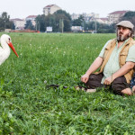 Il comandante e la cicogna